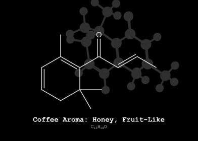 Coffee Honey Fruit