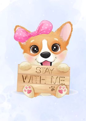 Cute little corgi 