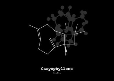 Caryophyllene