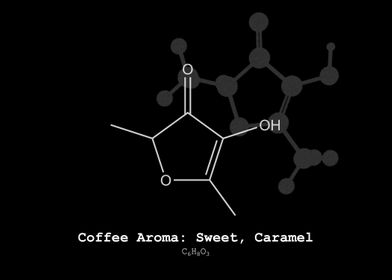 Coffee Sweet Caramel