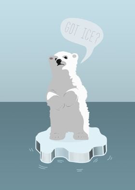 Polar bear cub Got Ice