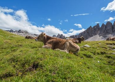 Dolomites 29  Italy