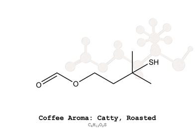 Coffee Aroma Catty Roasted