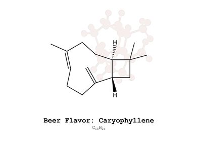 Caryophyllene