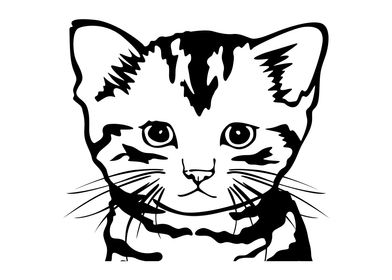 Cat with Line Art Style
