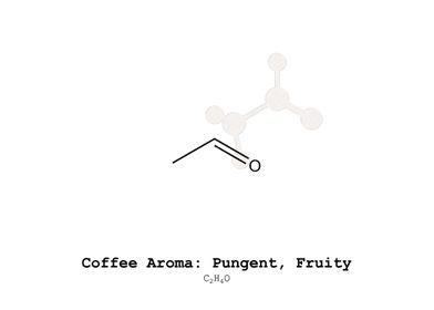 Coffee Aroma Pungent Fruit