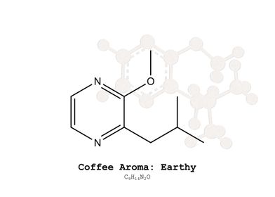 Coffee Aroma Earthy