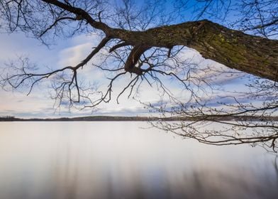 Water Wooden Lake Nature L