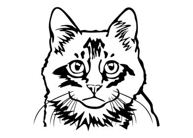 Cat with Line Art Style