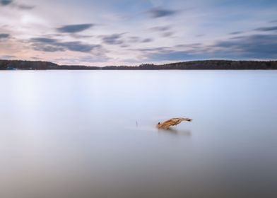 Water Wooden Lake Nature L