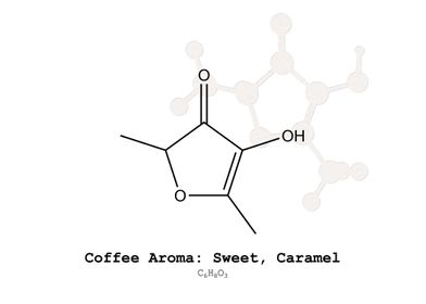 Coffee Aroma Sweet Caramel