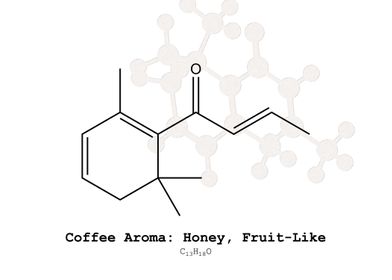 Coffee Aroma Honey Fruit