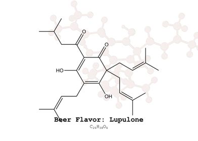 Lupulone