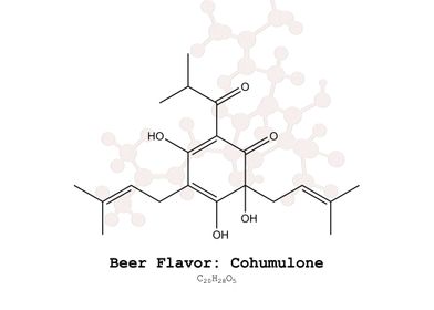 Cohumulone