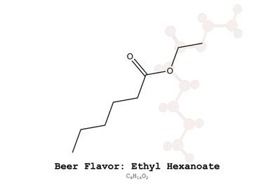 Ethyl Hexanoate