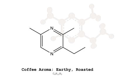 Coffee Aroma Earthy Roast