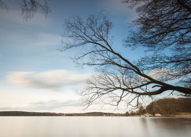 Water Wooden Lake Nature L