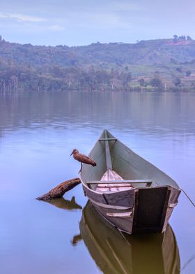 Bird sitting on boat