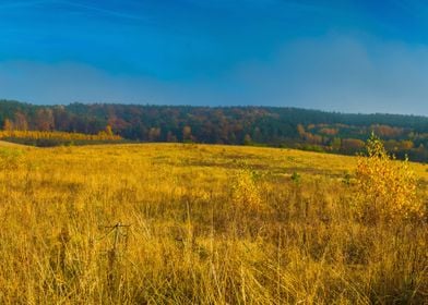 Agriculture Autumn Backgro