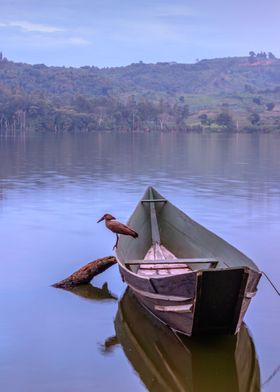 Bird sitting on boat