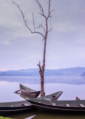 Lake at sunrise