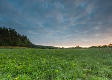 Agriculture Beams Beautifu