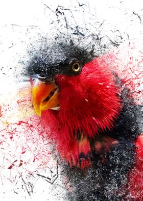 Shattered Parrot
