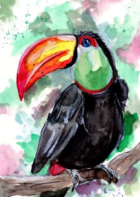 Tucan Bird Watercolor