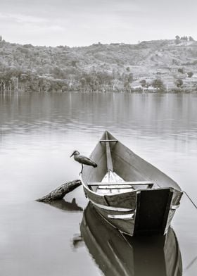 Bird sitting on boat