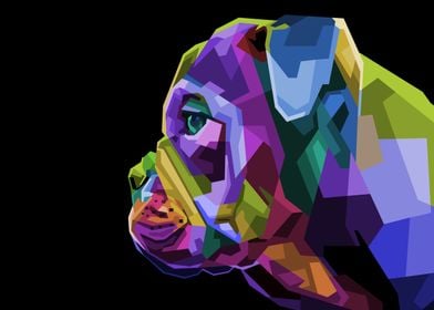 colorful english bulldog