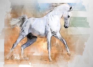 horses  watercolor