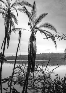 Lake at sunrise Uganda