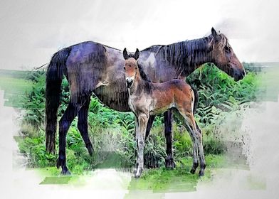 horses  watercolor