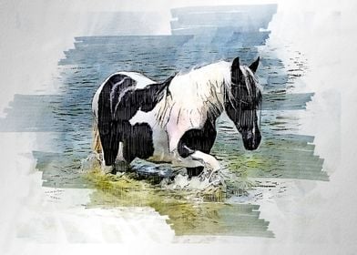 horses  watercolor