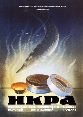 Caviar sturgeon Soviet