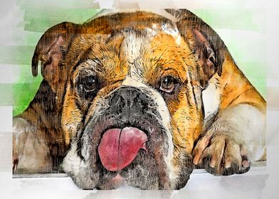 dog watercolor painting