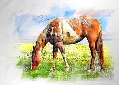 horse watercolor painting