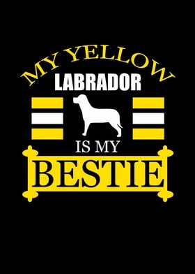 Dog Labrador Pet Animal