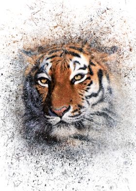 Shattered Tiger