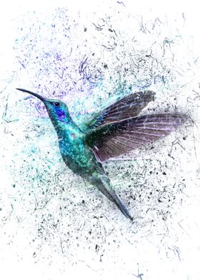 Shattered Hummingbird