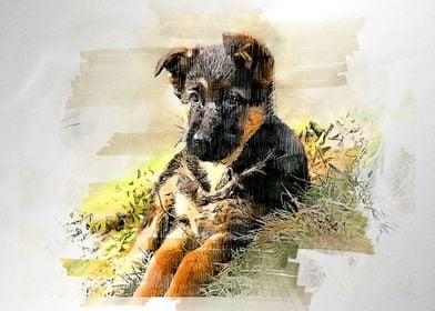 dog watercolor painting