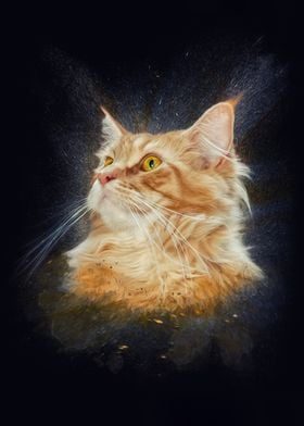 Maine Coon