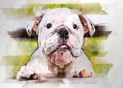 oginal watercolor  of a do