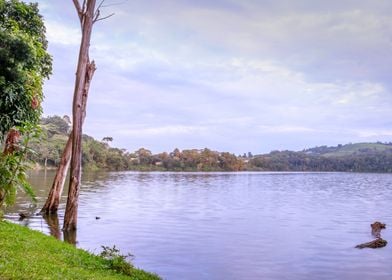 Lake at sunrise Uganda