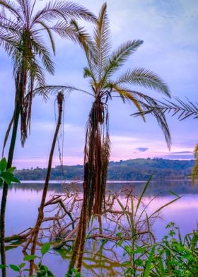 Lake at sunrise Uganda