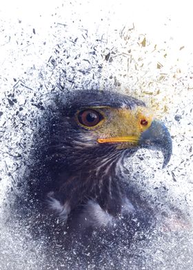 Shattered Eagle