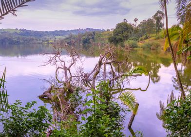 Lake at sunrise Uganda