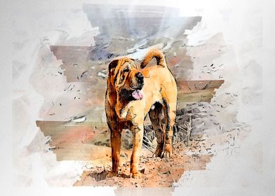 dog watercolor painting