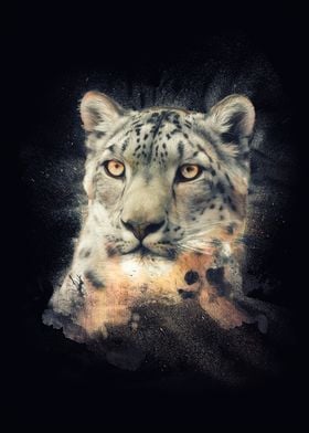 Snow leopard