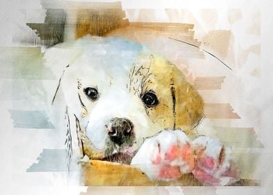 Watercolor dog